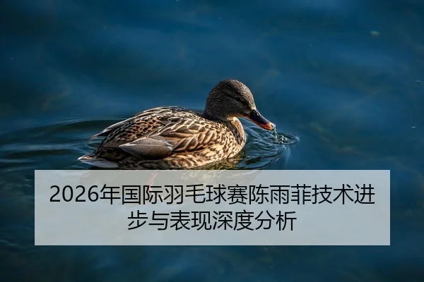 2026年国际羽毛球赛陈雨菲技术进步与表现深度分析