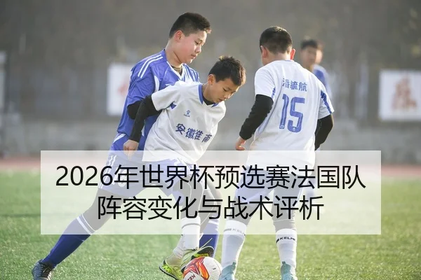 2026年世界杯预选赛法国队阵容变化与战术评析