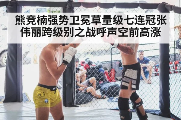 mixed martial arts cage fight